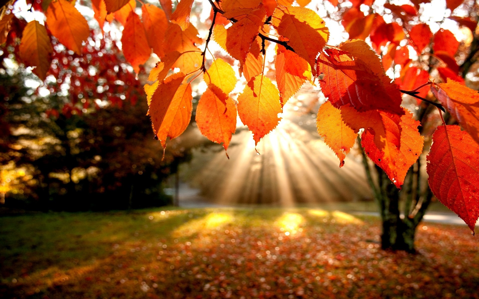 Autumn Equinox