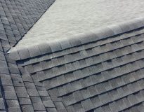 LIVINGSTON chen roof