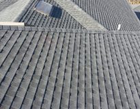 LIVINGSTON chen roof