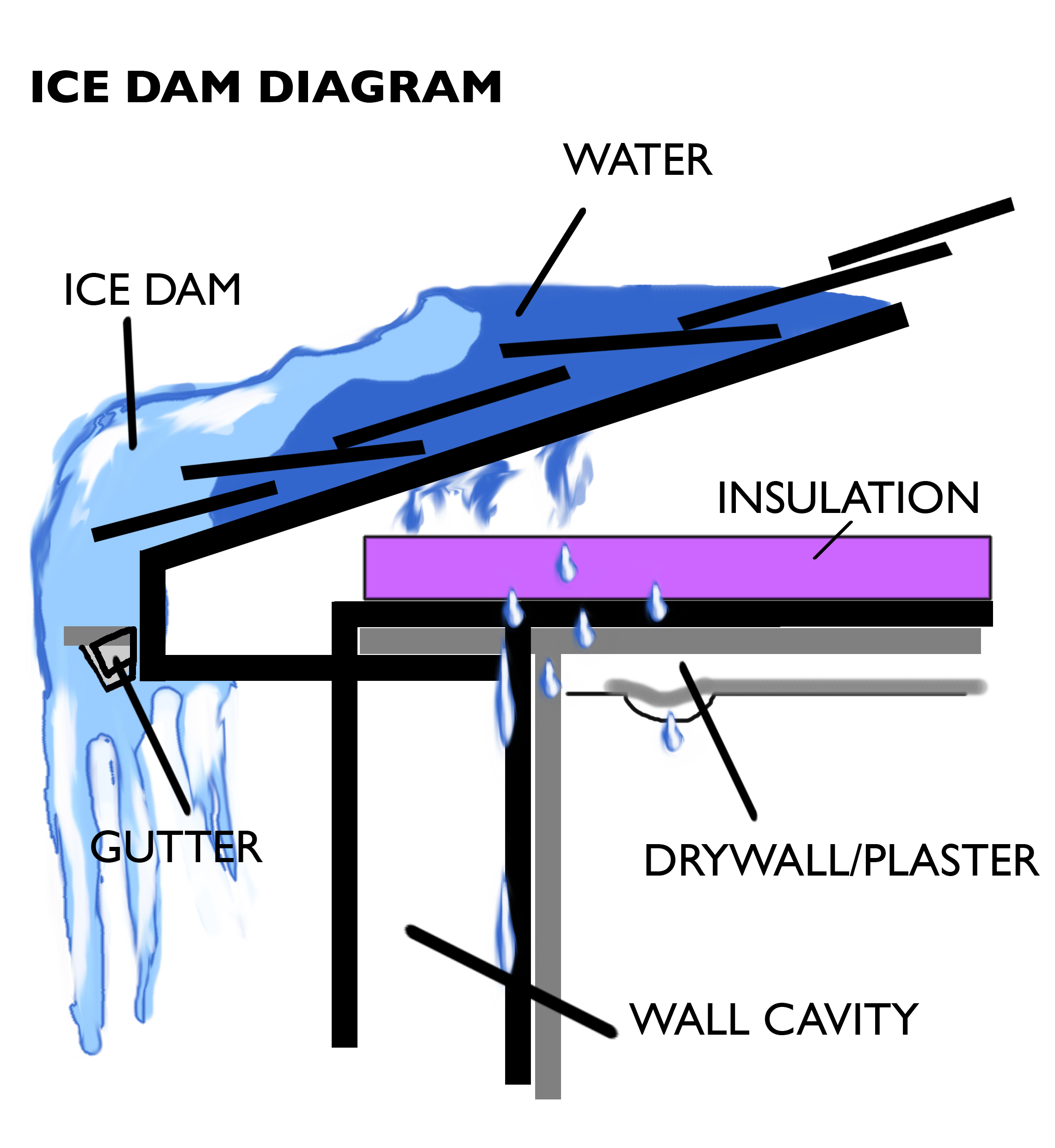 ice dams roofs