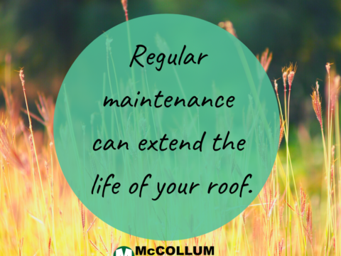 McCollum Roofing & Siding Roof Maintenance Gutter Cleaning, West Orange Roofer